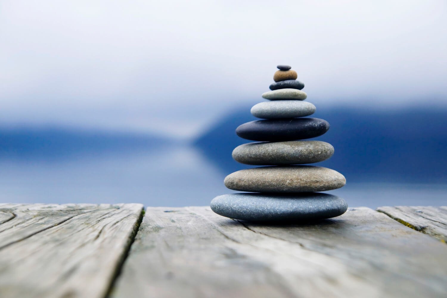 La Chiropratica e l’Equilibrio naturale del corpo