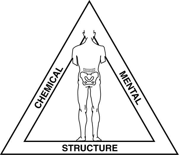 quest'immagine rappresenta il triangolo della salute come utilizzato nella chiropratica e nella kinesiologia applicata