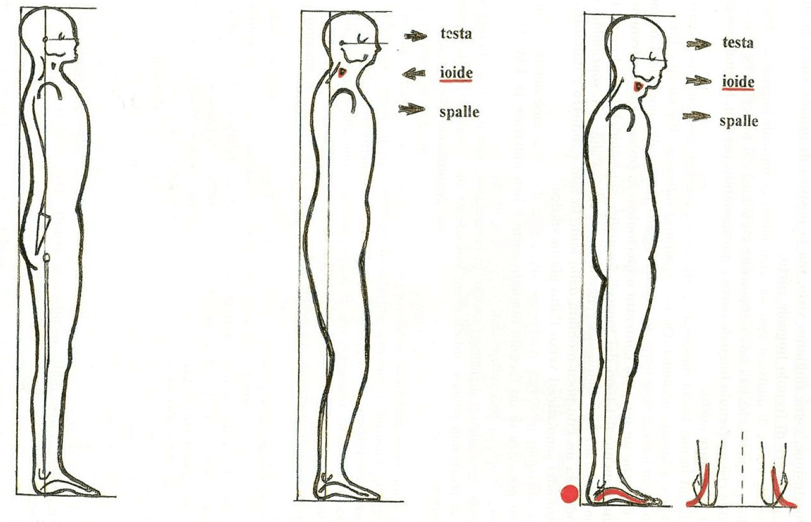 postura piedi mandibola